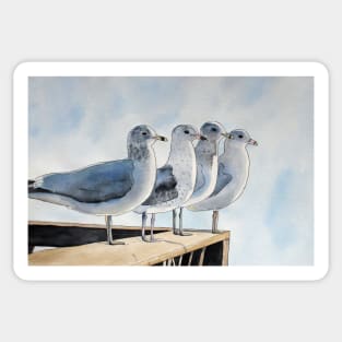 Seagulls sitting by the water Sticker